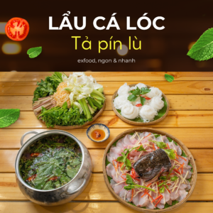 Lẩu cá lóc tả pín lù exfood