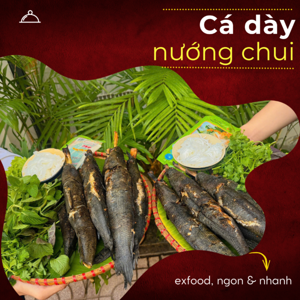 Cá dày nướng chui exfood