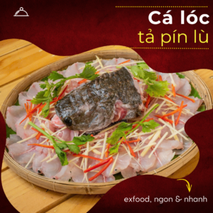 Cá lóc tả pín lù exfood