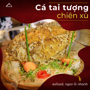 Cá tai tượng chiên xù exfood