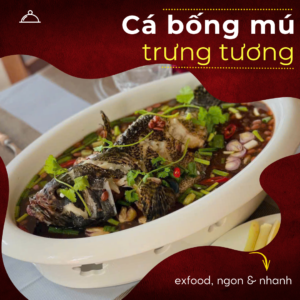 Cá bống mú trưng tương exfood